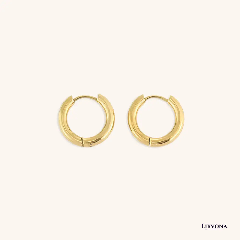 Women’s Gold Hoop Earrings 14k Plated Stainless Steel Classic Design