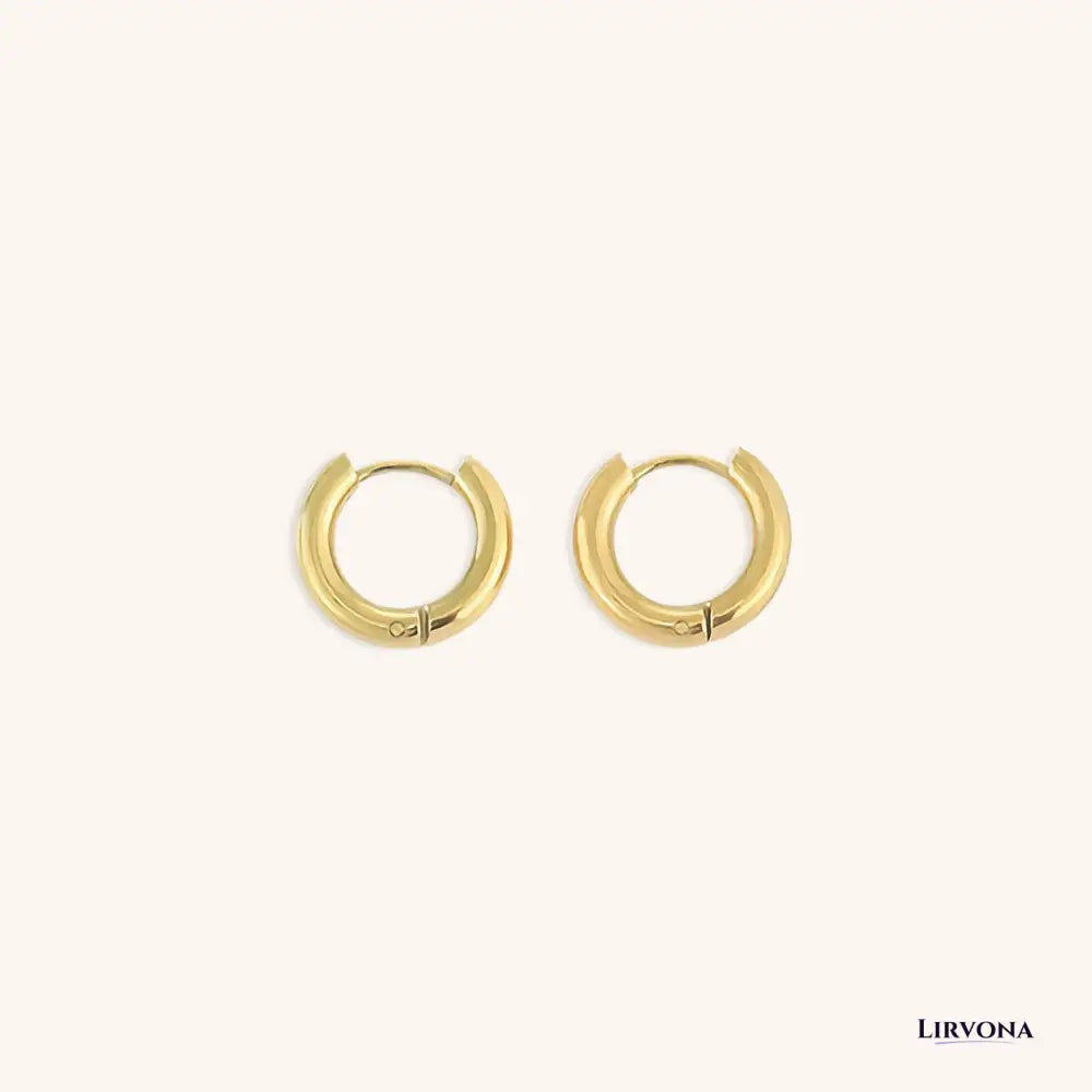 Women’s Gold Hoop Earrings 14k Plated Stainless Steel Classic Design
